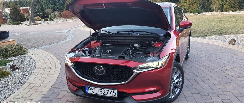 Mazda CX-5 cena 109000 przebieg: 20500, rok produkcji 2019 z Koło małe 631